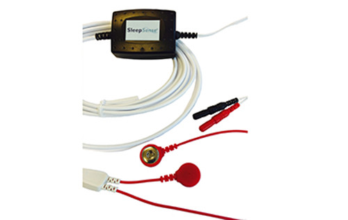 Thorax Ve Abdomen Kemerleri̇